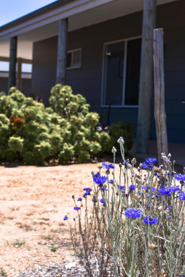 Bremer Bay B&B Exterior foto